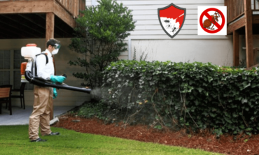 Mosquito Control