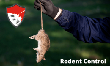 Rodent Control
