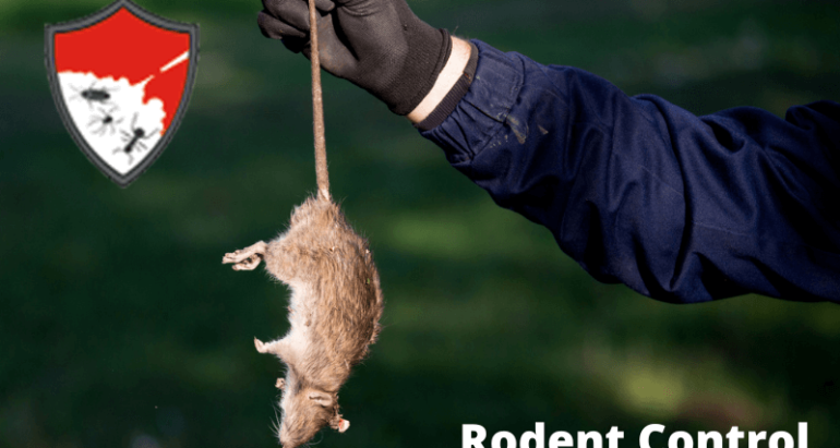 Rodent Control