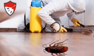 Cockroach Control