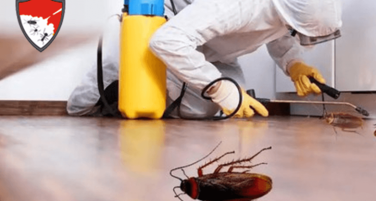 Cockroach Control